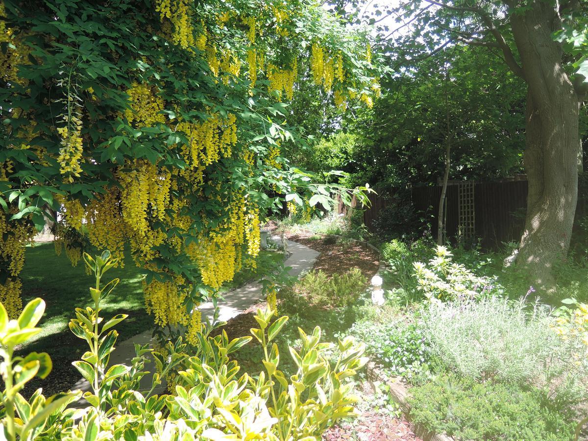 Tresillian House Bed & Breakfast Melton Mowbray Bagian luar foto