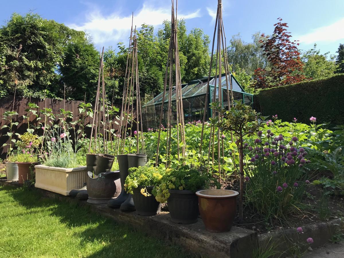 Tresillian House Bed & Breakfast Melton Mowbray Bagian luar foto