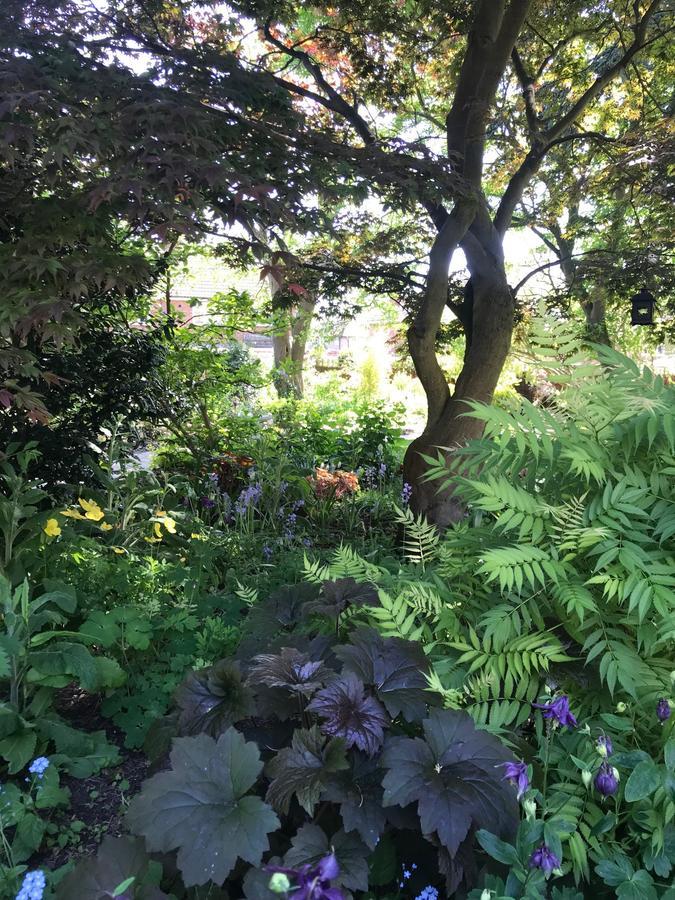 Tresillian House Bed & Breakfast Melton Mowbray Bagian luar foto